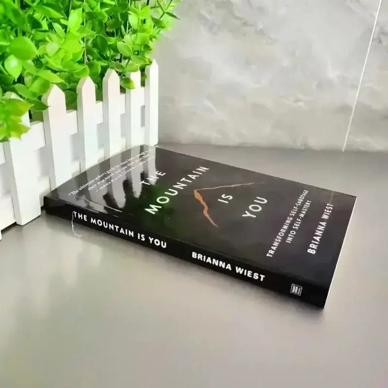 The Mountain Is You – Brianna Wiest