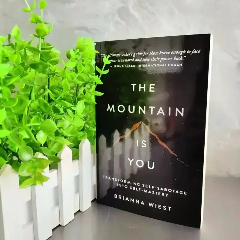 The Mountain Is You – Brianna Wiest